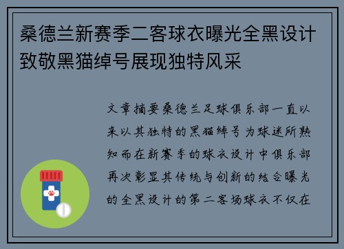 桑德兰新赛季二客球衣曝光全黑设计致敬黑猫绰号展现独特风采